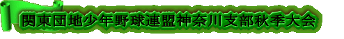 ���������D�֓��c�n���N�싅�_�ސ�x�����