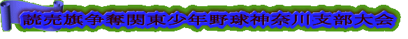 ���������D�֓��c�n���N�싅�_�ސ�x�����